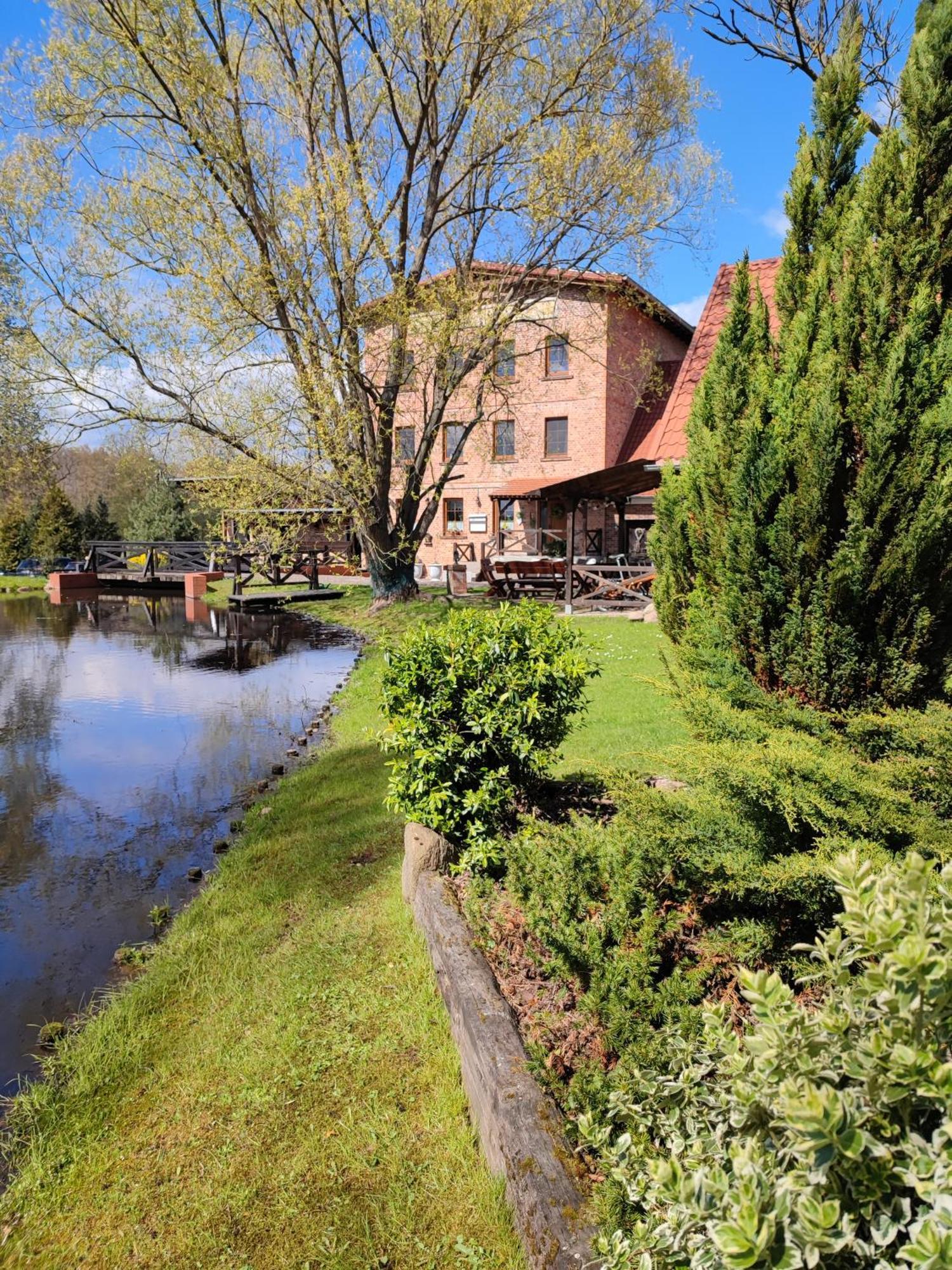 Вилла Stary Mlyn W Brzeznicy Brzeznica  Экстерьер фото